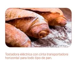 Edenox Tostadora Eléctrica De Cinta TPC-75 -Buffalo Ventas edenox tostadora cinta tpc 75 03