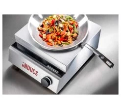 Inducs Cocina Inducción Instinct Wok