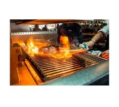 Josper Parrilla Pescado -Buffalo Ventas josper parrilla pescado 04